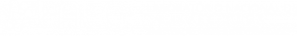 LNEG logo negativo fundo transparente